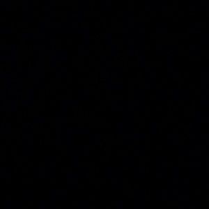 Meet your Posher, Renata